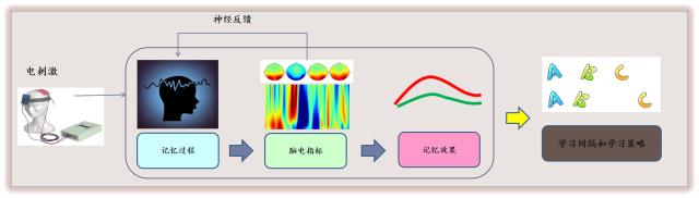 9基于腦機接口的個性化高效學習系統(tǒng)（配在“研發(fā)了帶有腦電反饋的計算機化自適應認知訓練”一段）.jpg